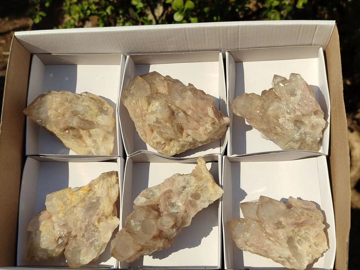 Natural Smokey Quartz Clusters x 6 From Luena, Congo