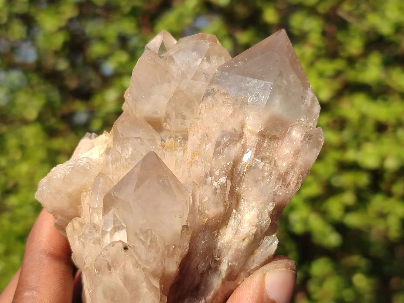 Natural Smokey Quartz Clusters x 6 From Luena, Congo