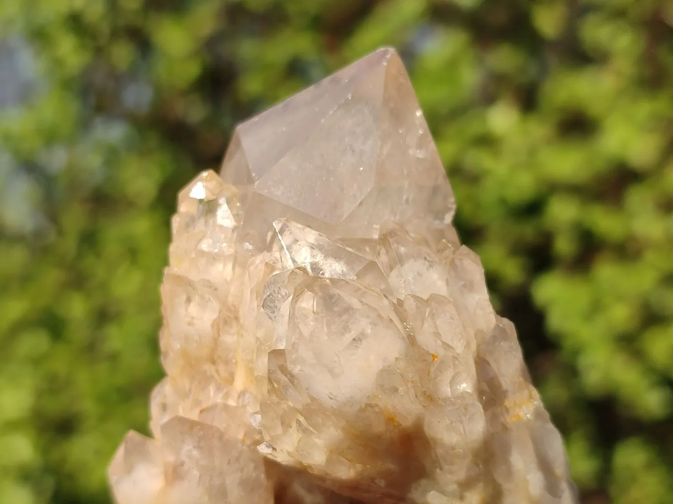 Natural Smokey Quartz Clusters x 6 From Luena, Congo