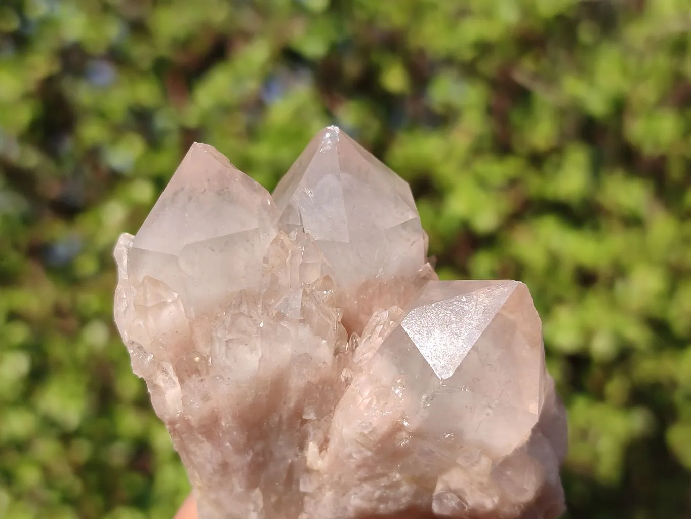 Natural Smokey Quartz Clusters x 6 From Luena, Congo