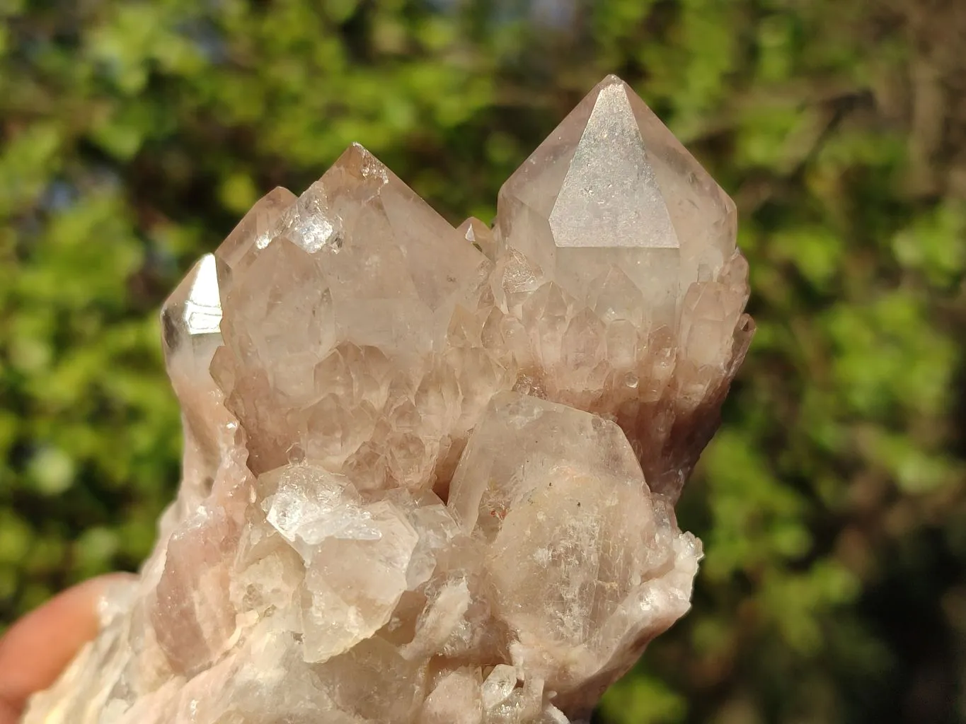 Natural Smokey Quartz Clusters x 6 From Luena, Congo