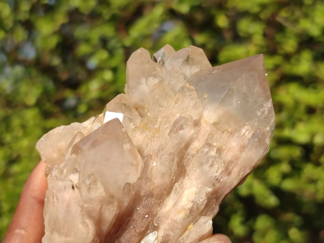 Natural Smokey Quartz Clusters x 6 From Luena, Congo