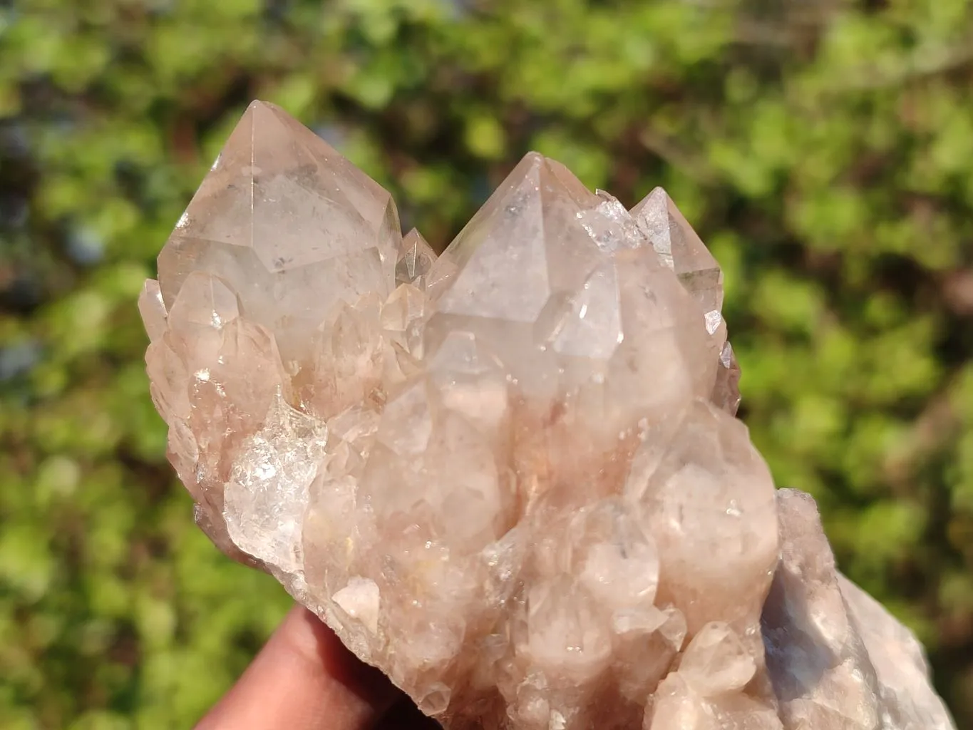 Natural Smokey Quartz Clusters x 6 From Luena, Congo