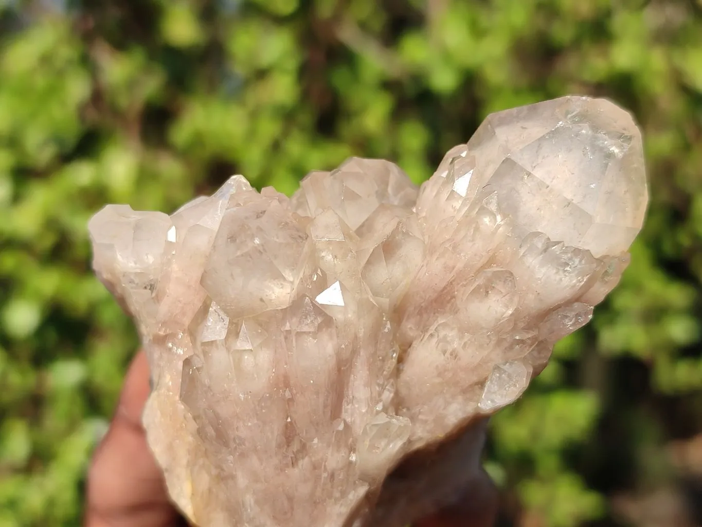 Natural Smokey Quartz Clusters x 6 From Luena, Congo