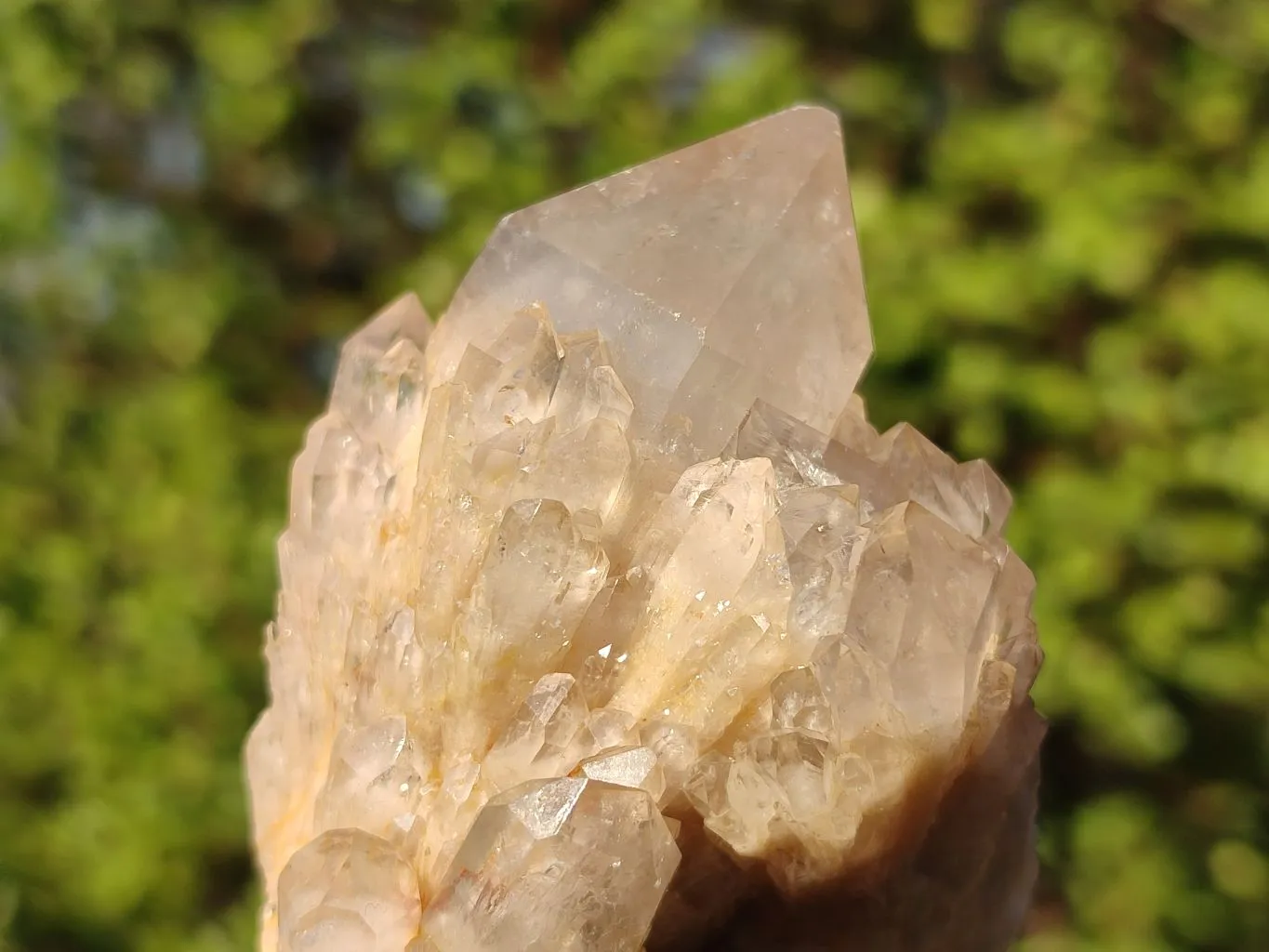Natural Smokey Quartz Clusters x 6 From Luena, Congo