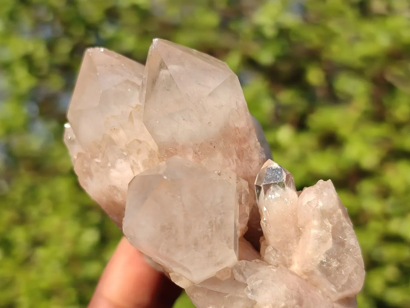Natural Smokey Quartz Clusters x 6 From Luena, Congo