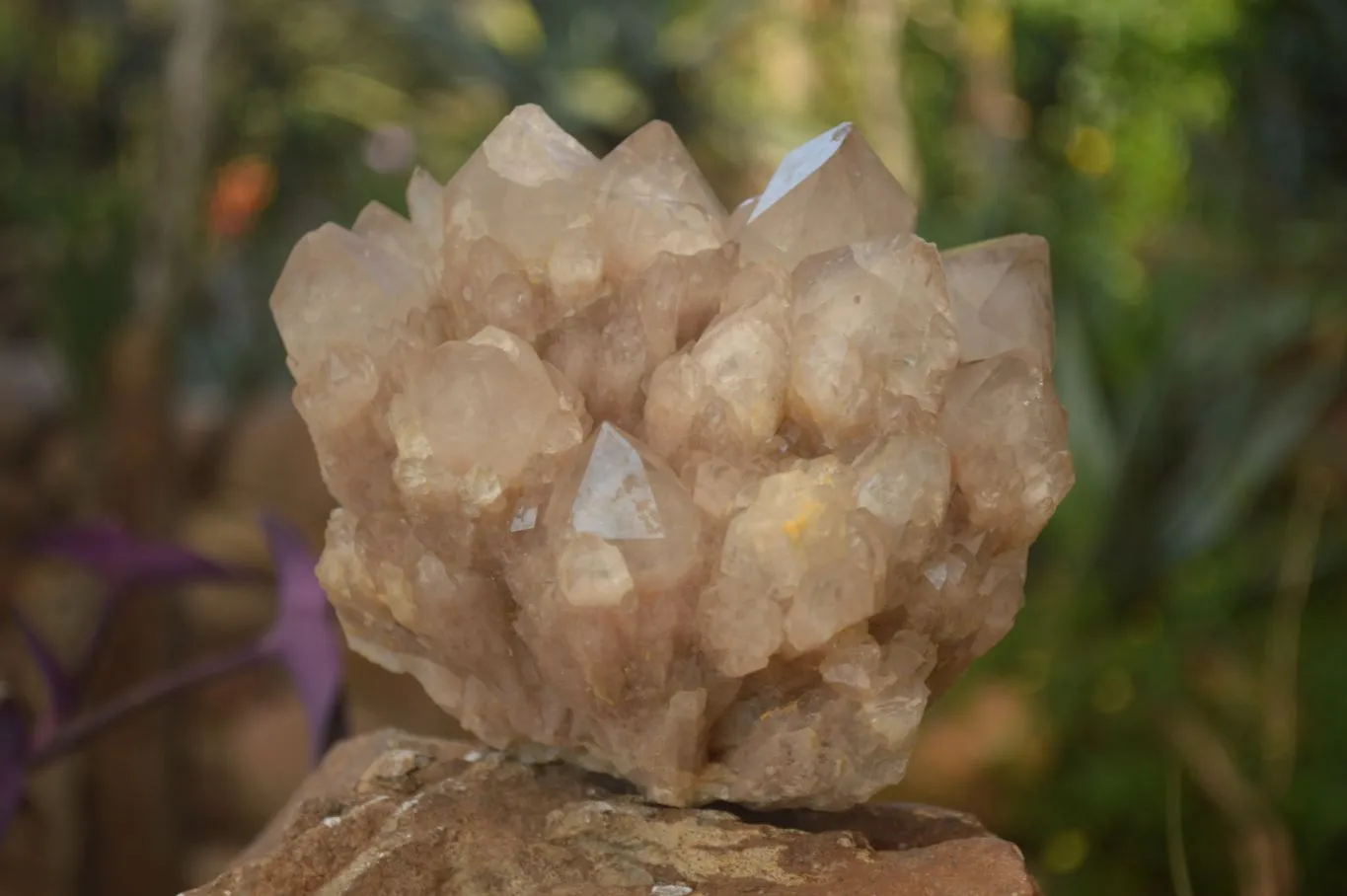 Natural Stunning Smokey Quartz Cluster x 1 From Luena, Congo