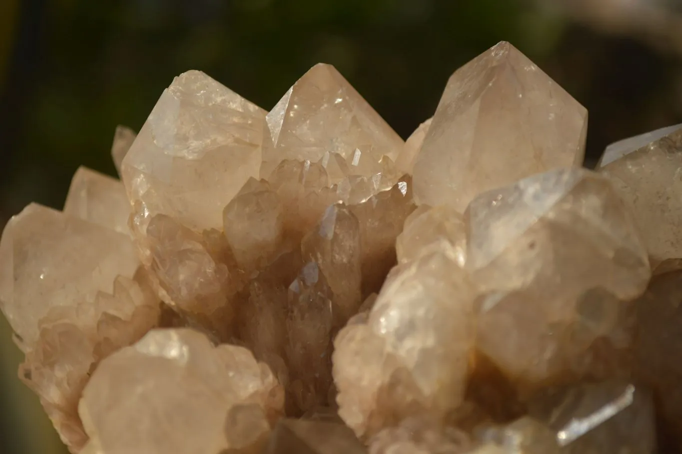 Natural Stunning Smokey Quartz Cluster x 1 From Luena, Congo