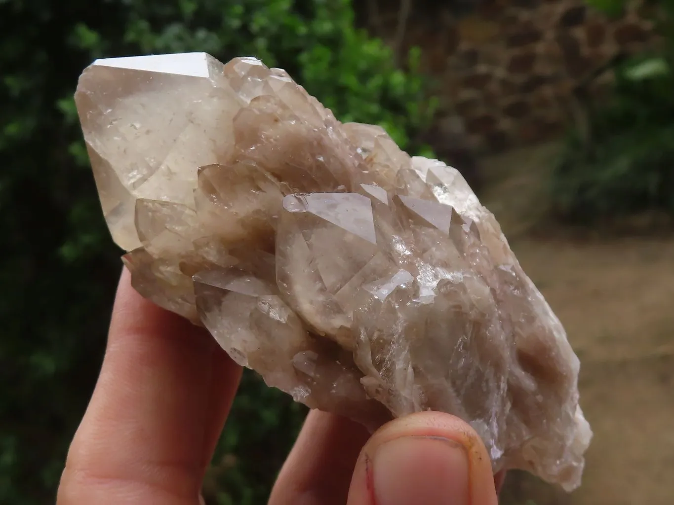 Natural White Phantom Cascading Smokey Quartz Clusters x 6 From Luena, Congo