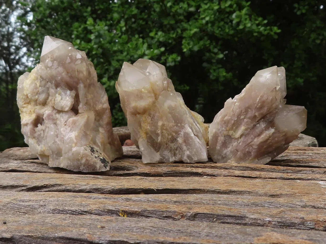Natural White Phantom Cascading Smokey Quartz Clusters x 6 From Luena, Congo