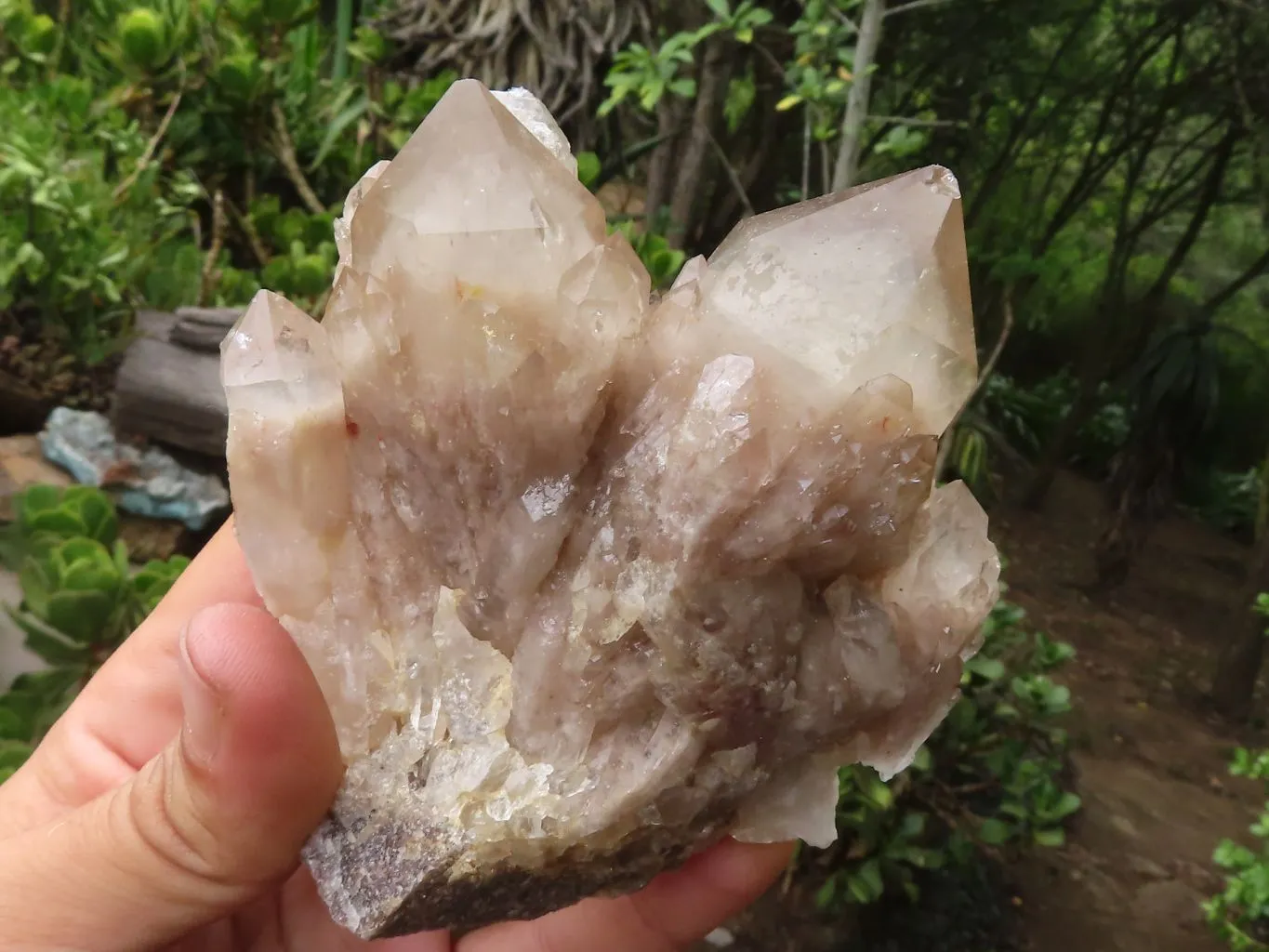 Natural White Phantom Cascading Smokey Quartz Clusters x 6 From Luena, Congo