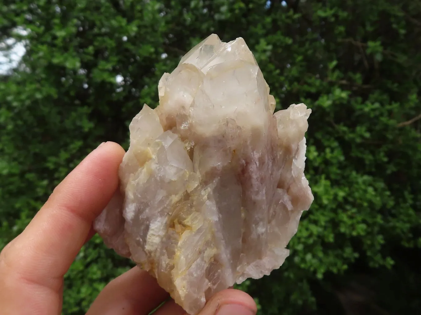 Natural White Phantom Cascading Smokey Quartz Clusters x 6 From Luena, Congo