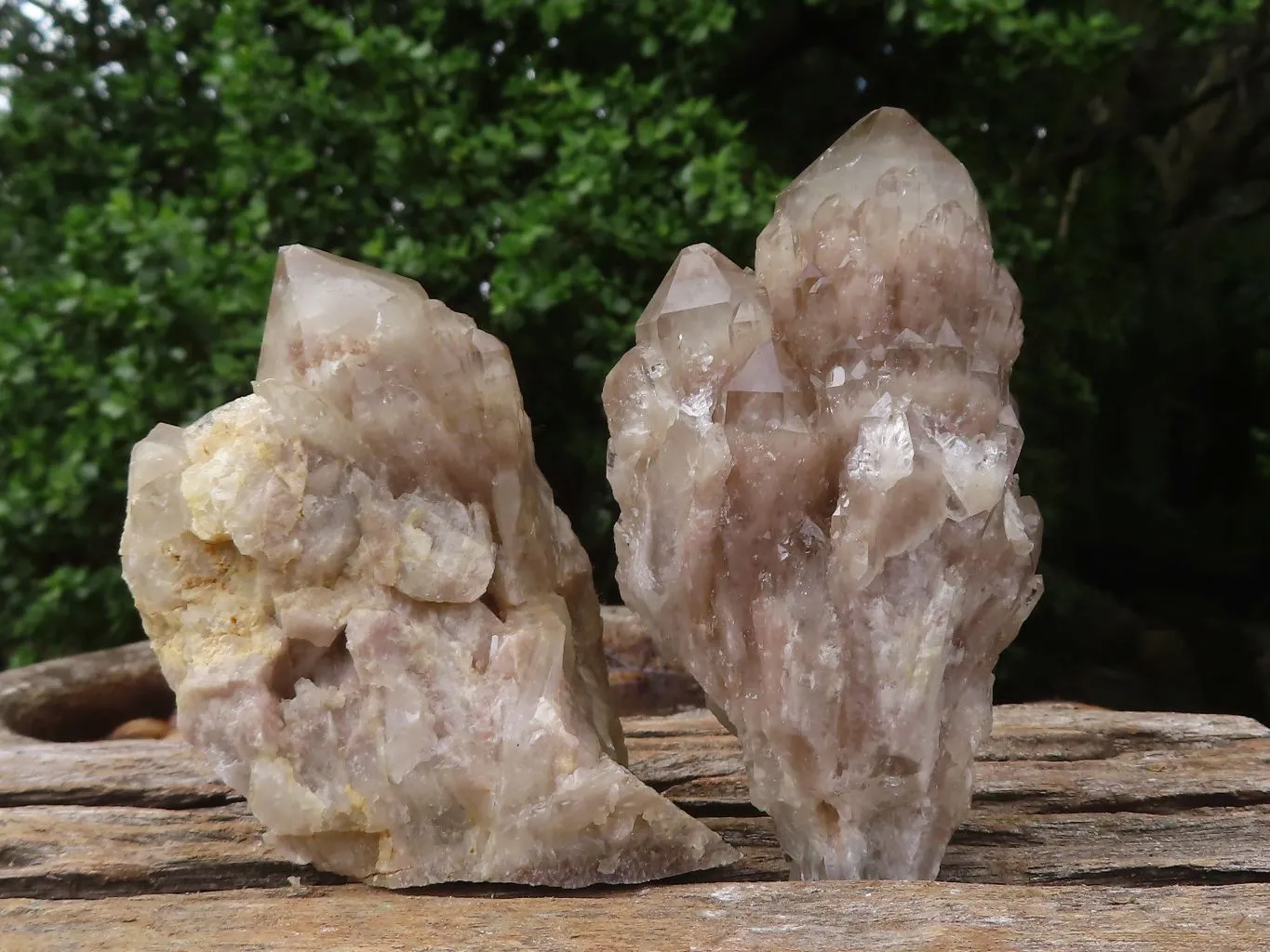 Natural White Phantom Cascading Smokey Quartz Clusters x 6 From Luena, Congo