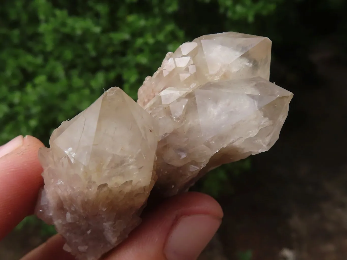 Natural White Phantom Cascading Smokey Quartz Clusters x 6 From Luena, Congo